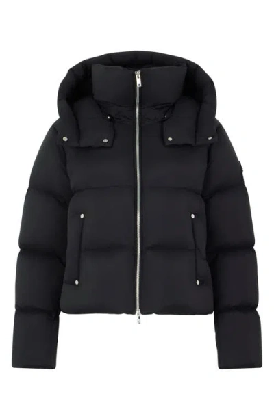 Moose Knuckles Belle Dune Water Repellent Down Puffer Jacket With Removable Hood In Black