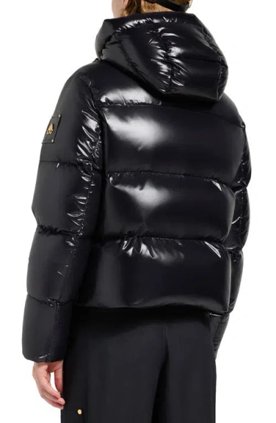 Moose Knuckles Moonstone Water Repellent 800 Fill Power Down Jacket With Removable Hood In Black