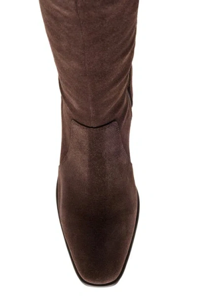 Blondo Mckenna Knee High Boot In Brown