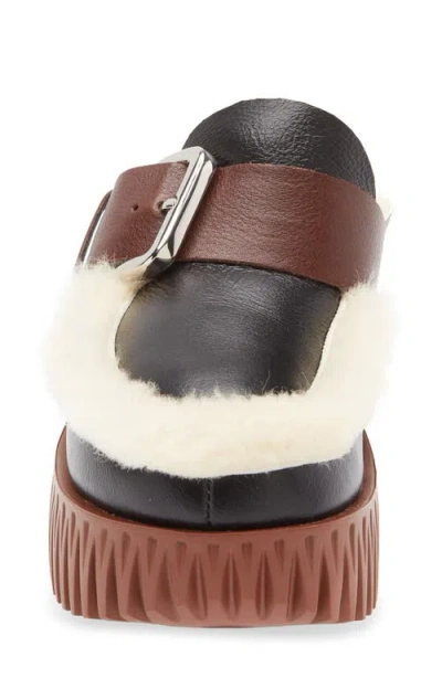 4ccccees Plia Amber Genuine Shearling Platform Clog In Black