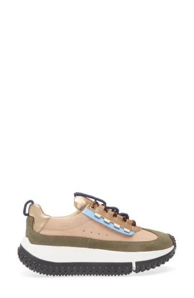 4ccccees Kapok Pinto Platform Sneaker In Multi