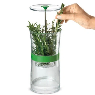 Cuisipro Original Herb Keeper Keeps Herbs Fresh Storage Container In Green