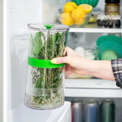 Cuisipro Original Herb Keeper Keeps Herbs Fresh Storage Container In Green