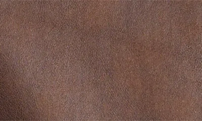 All In Favor All In Brown