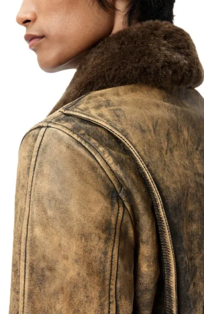 John Varvatos Atlas Distressed Leather Jacket With Removable Genuine Shearling Collar In Brown