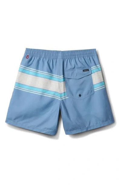 Quiksilver Everyday Stripe Volley Swim Trunks In Blue
