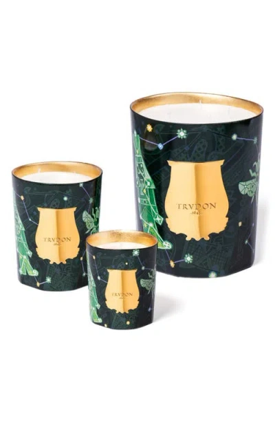 Trudon Fir Christmas Tree Scented Candle In Green