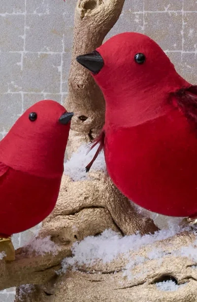 Balsam Hill Red Feathered Flock Ornament Set In Red