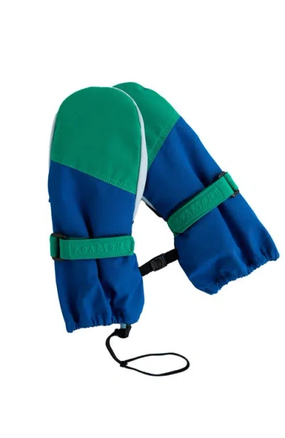 Roarsome Kids Ski Gloves In Blue