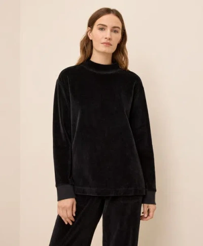 Pact Organic Cotton Pure Velour Cozy Pullover In Black