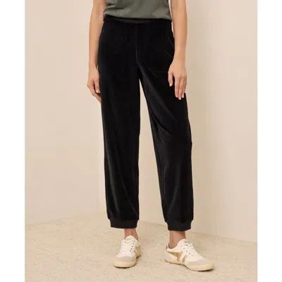 Pact Organic Cotton Pure Velour Relaxed Sweatpant In Black