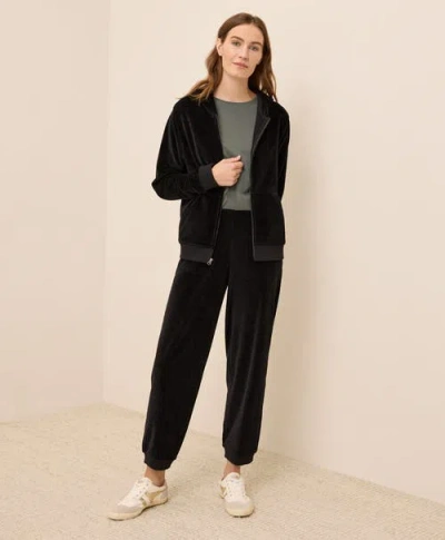 Pact Organic Cotton Pure Velour Relaxed Sweatpant In Black