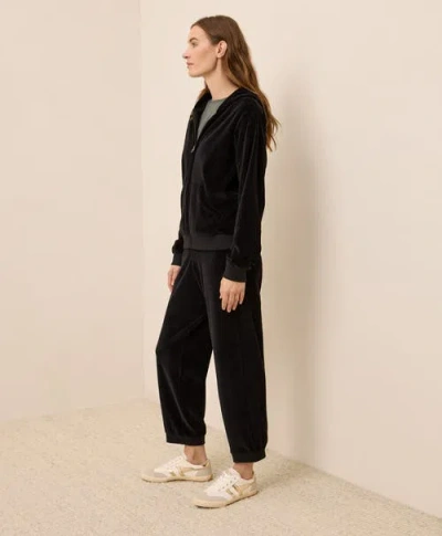 Pact Organic Cotton Pure Velour Relaxed Sweatpant In Black