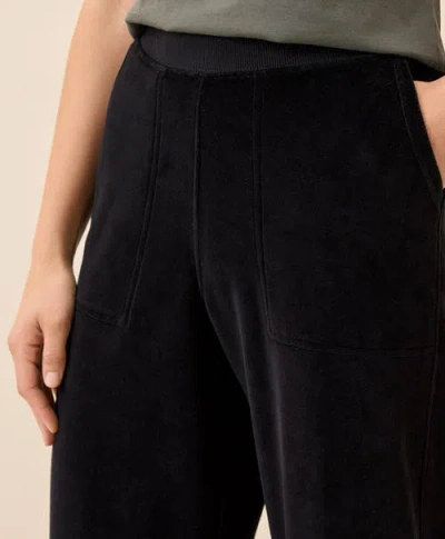 Pact Organic Cotton Pure Velour Relaxed Sweatpant In Black