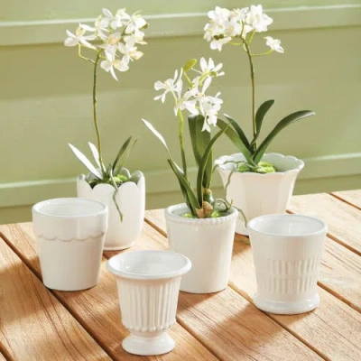 Napa Home & Garden Mirabelle Mini Cachepots Set Of 6 In White