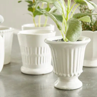 Napa Home & Garden Mirabelle Mini Cachepots Set Of 6 In White
