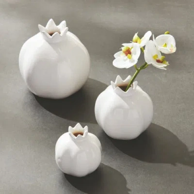Napa Home & Garden Pomona Bud Vases Set Of 3 In White