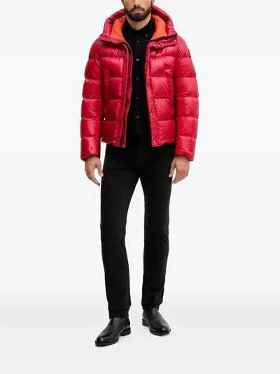 Blauer Hooded Jacket In Multi