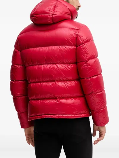 Blauer Hooded Jacket In Multi