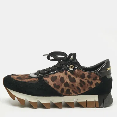 Pre-owned Dolce & Gabbana Multicolor Leopard Print Canvas And Suede Lace Up Sneakers Size 39