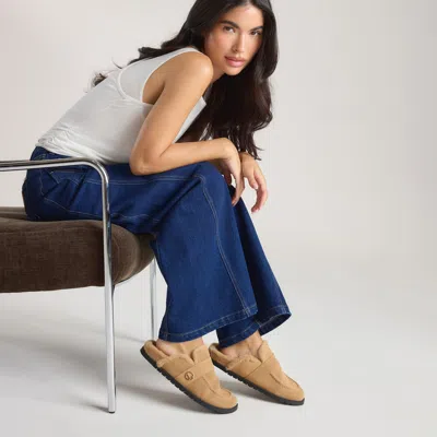 Lounge Chestnut In Brown