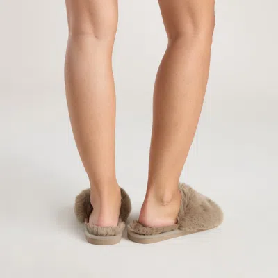 Lounge Taupe In Brown