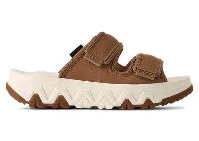 Pre-owned Ugg Captrail Strap Slide (women's) Sneakers In Chestnut In Brown