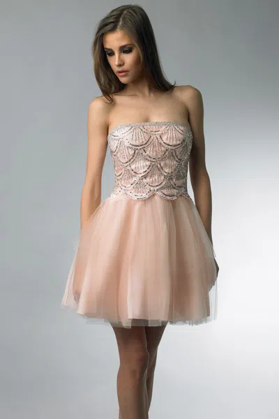 Basix Black Label Baby Doll Mini Dress In Neutral