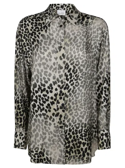 Nude Leopard Print Sheer Blouse With Classic Collar In Multi