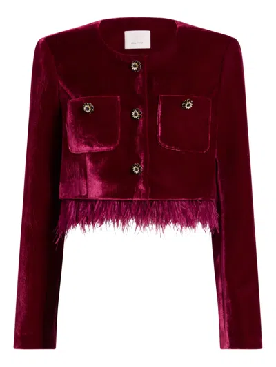 Cinq À Sept Cinq A Sept Evelina Feather Hem Jacket In Red