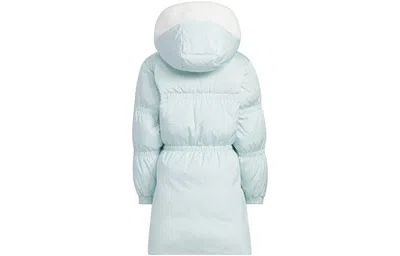 Adidas Originals (ps)  Hooded Long Down Jacket 'green' In Blue