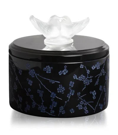 Lalique Lacquered Fleurs De Cerisier Box In Blue