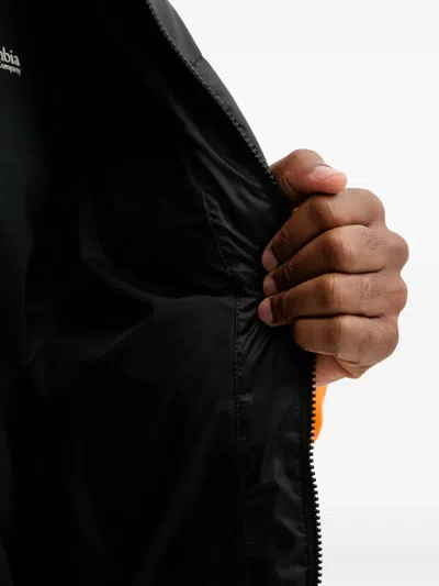 Helly Hansen Active Logo-detail Padded Jacket In Multi