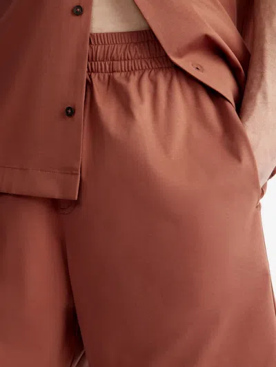 12 Storeez Pima-cotton Shorts In Brown