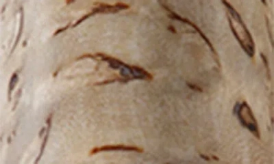 Miyabi Birchwood 6-inch Chef's Knife In Neutral