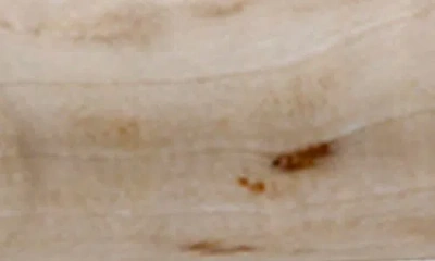 Miyabi Birchwood 5-inch Utility Knife In Neutral