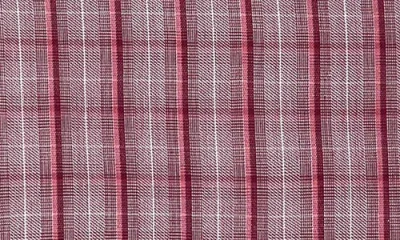 David Donahue Twill Check Sport Shirt In Red