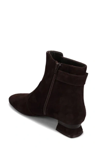 Vaneli Pierot Bootie In Brown