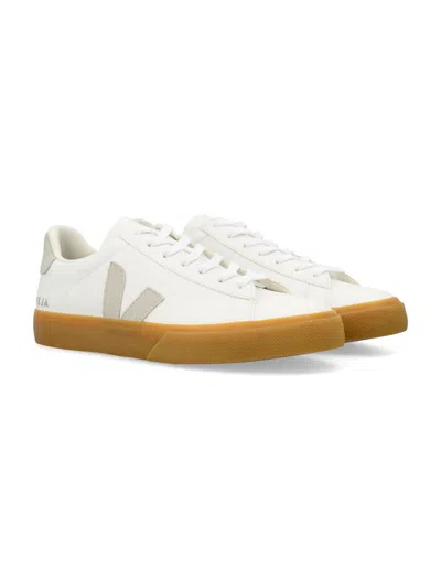 Veja Campo Leather Sneakers In Multi