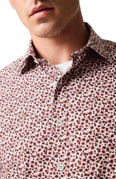 Rodd & Gunn Greenstreet Sports Fit Shirt In Burgundy