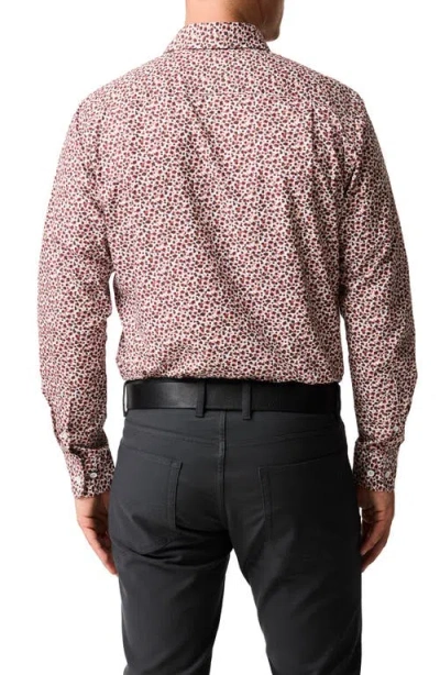 Rodd & Gunn Greenstreet Sports Fit Shirt In Burgundy