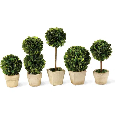 Napa Home & Garden Set Of 5 Mini Topiaries In White
