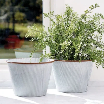 Napa Home & Garden 23in Maiden Hair Drop-in In Green