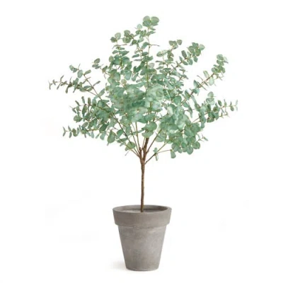 Napa Home & Garden Eucalyptus Tree Drop-in In Green