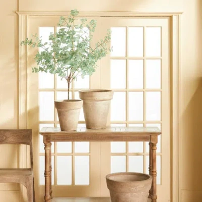 Napa Home & Garden Eucalyptus Tree Drop-in In Green