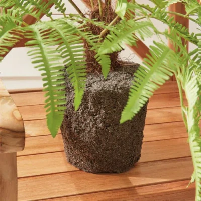 Napa Home & Garden Forest Fern Drop-in In Green