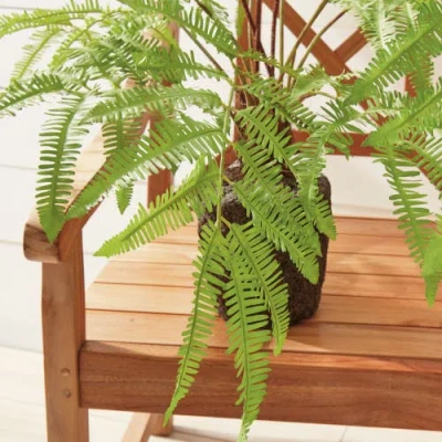 Napa Home & Garden Forest Fern Drop-in In Green