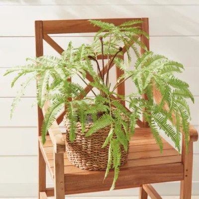 Napa Home & Garden Forest Fern Drop-in In Green