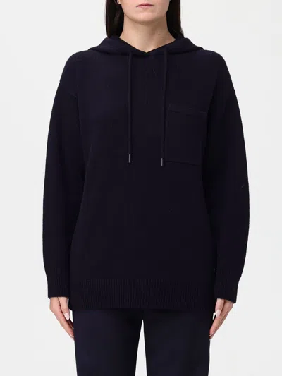 Max Mara Wool And Cashmere Hooded Sweater In Blue