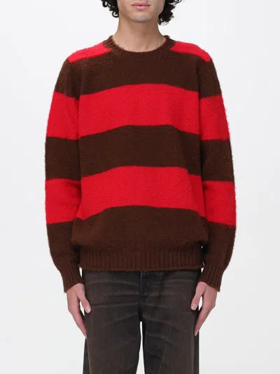 Howlin' Striped Crewneck Sweater Long Sleeves In Brown